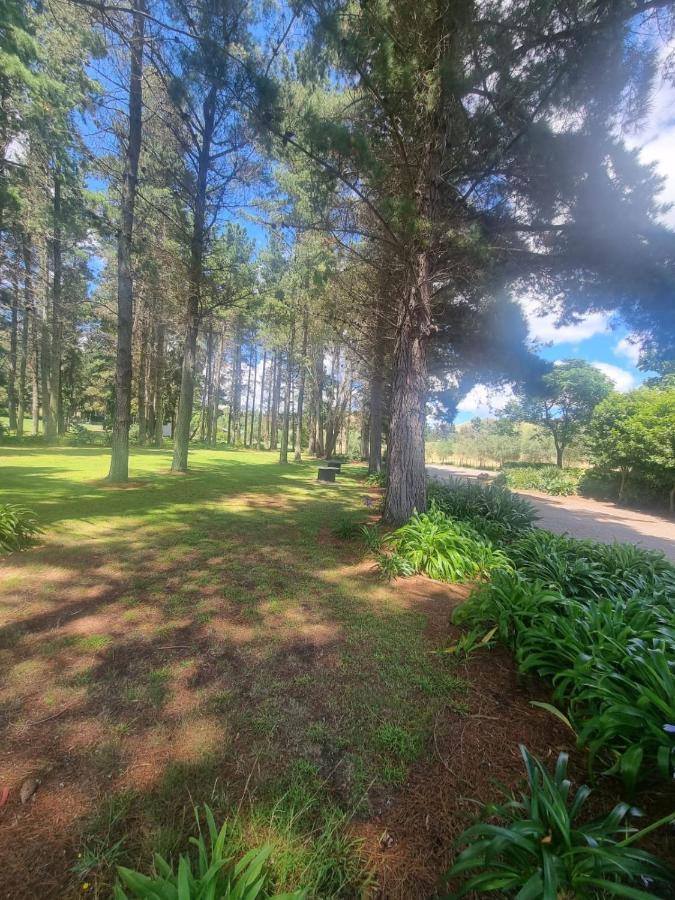 Savana Estate Poukawa